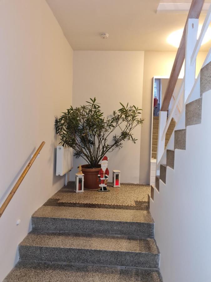 Haus Fernblick Apartment Kurort Baerenburg Exterior photo